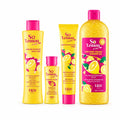 F&W Lemon Fresh Daily Routine Set